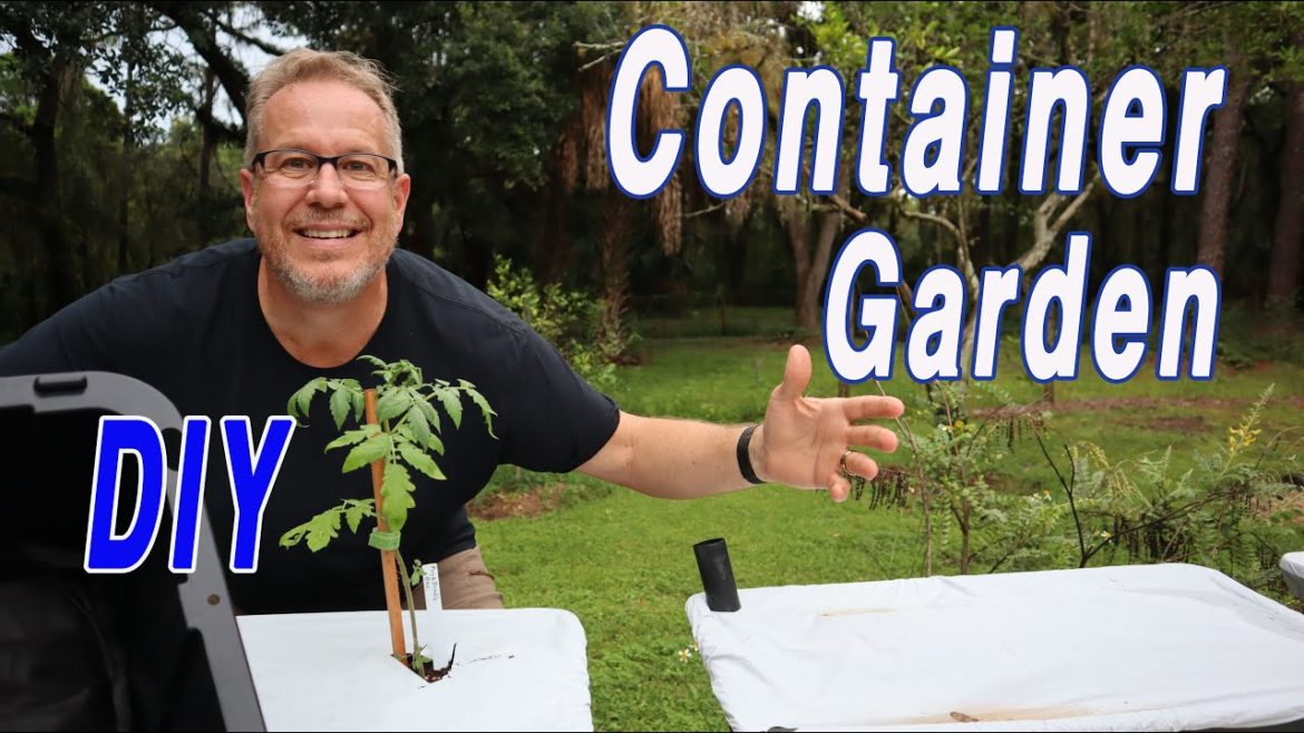 DIY Container Garden – Self Wicking DIY Container Garden - Self Wicking