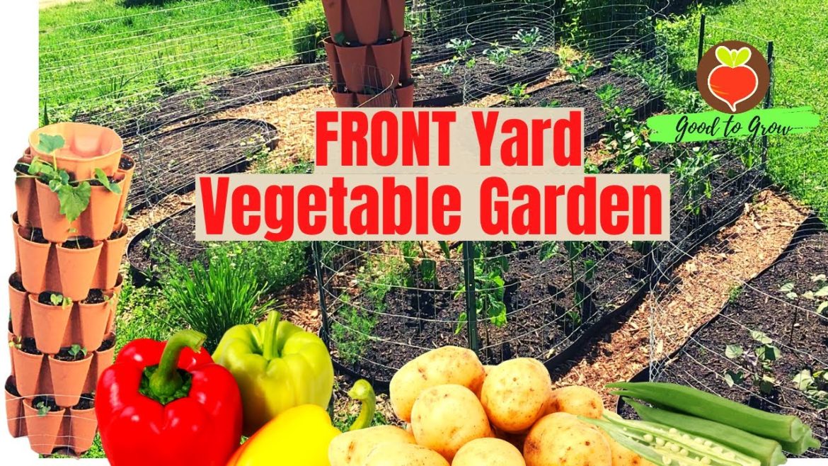 Growing Potatoes and  OVER 10 Other Vegetables in My Front Yard Vegetable Garden | June Garden Tour