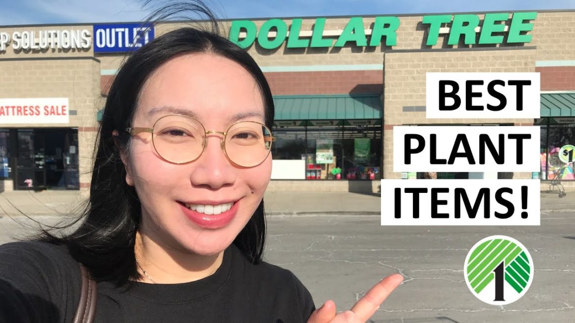 8 Houseplant/Gardening Items You SHOULD ALWAYS BUY at the Dollar Tree!