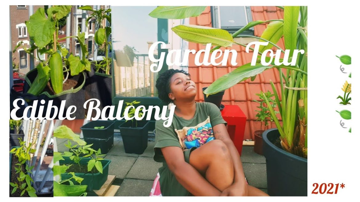 Garden Tour 2021🍀🌾 ||  My Edible Balcony Garden. #vegetablebalconygarden #Gardentour2021