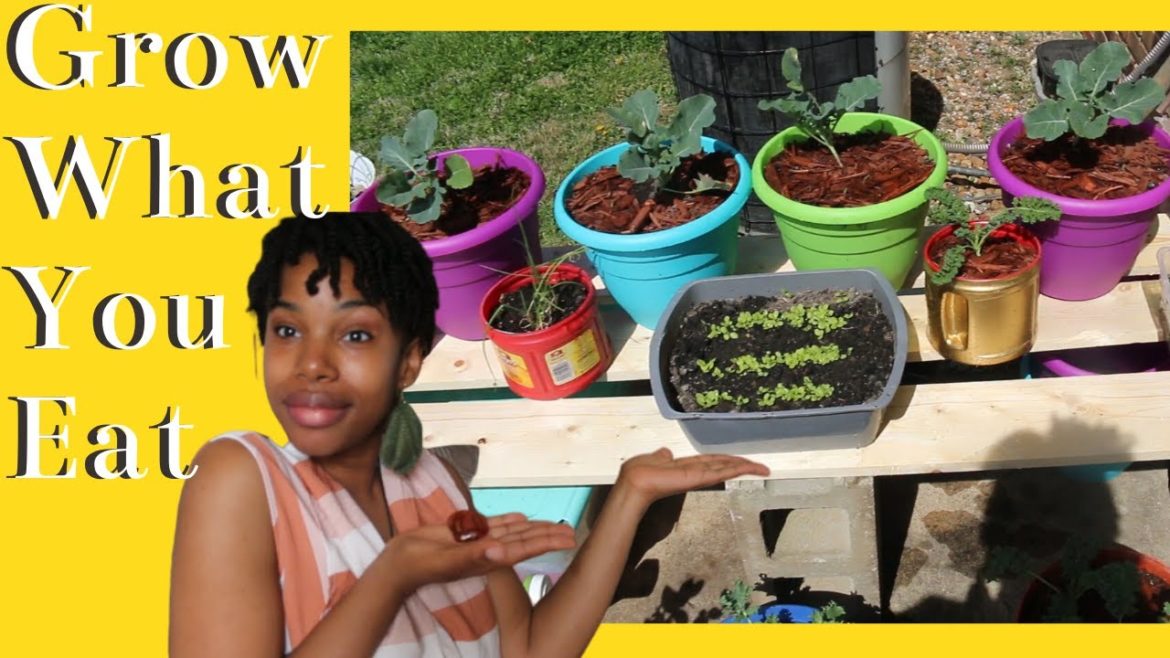 DIY Garden Bench & Container Garden Update|GrowYourFood