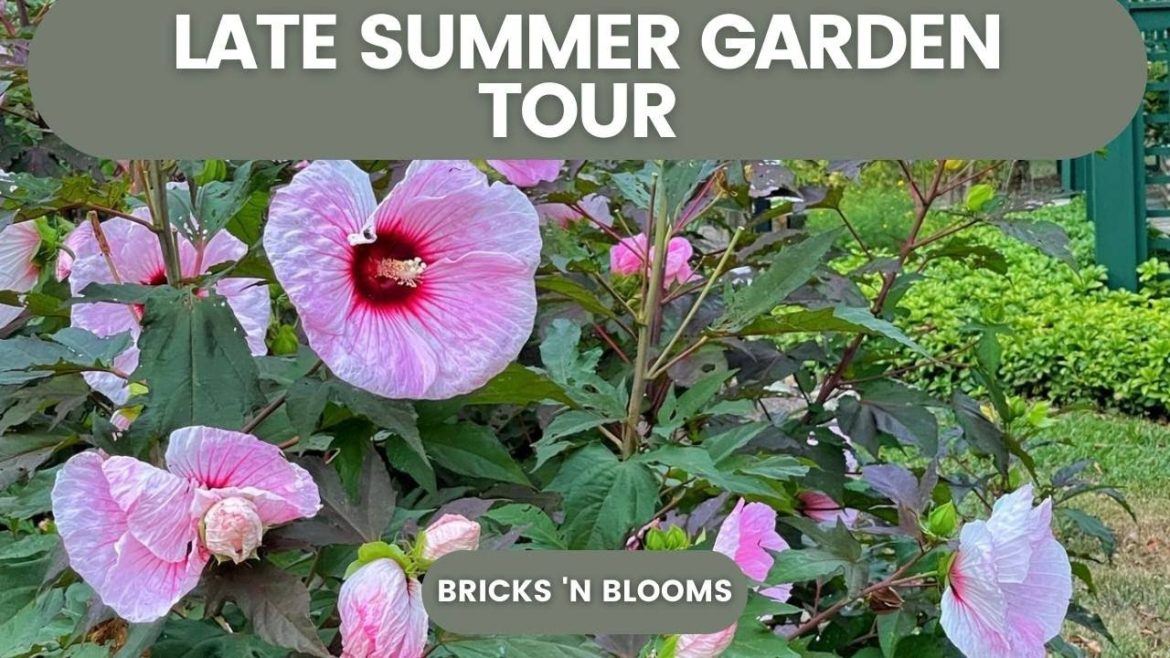 LATE SUMMER GARDEN TOUR IN THE FRONT YARD // Fall Garden Planning // Bricks ’n Blooms LATE SUMMER GARDEN TOUR IN THE FRONT YARD // Fall Garden Planning // Bricks ’n Blooms