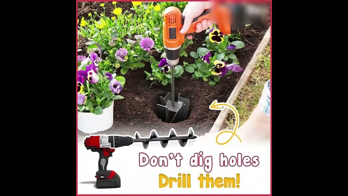 Gardening 147 #shorts Gardening 147 #shorts