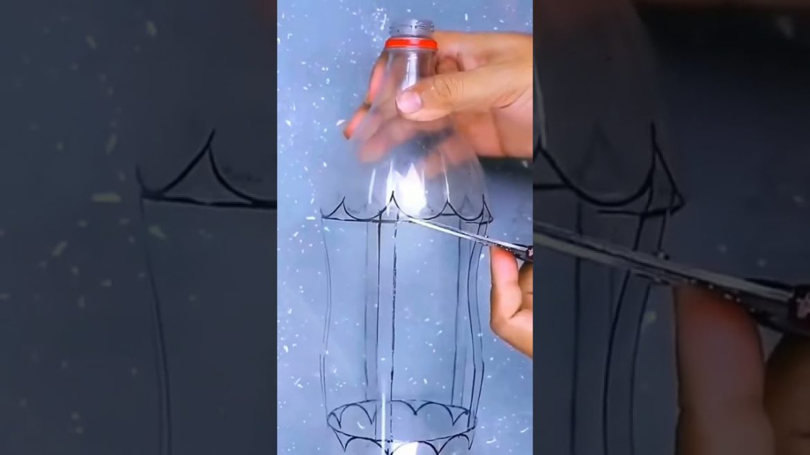 Beverage bottles can be used like this for gardening #shorts #gardenlife #viralshorts Beverage bottles can be used like this for gardening #shorts #gardenlife #viralshorts