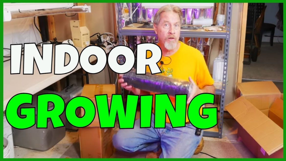Unboxing My Grow Tent (Spider Farmer SF1000 Grow Tent Kit)