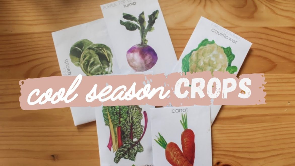 Cool Season Crops | What To Plant for Fall Container Garden