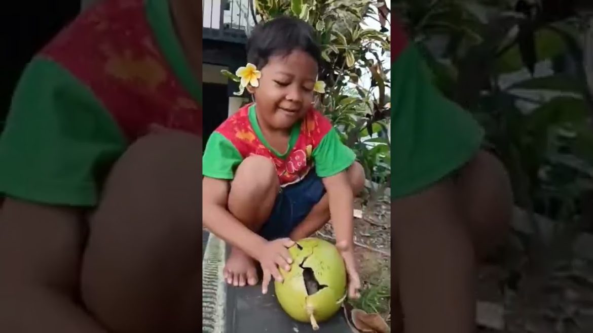 Buah Berenuk / Calabash Buah Berenuk / Calabash