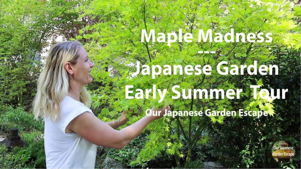 Japanese Garden Summer Tour | Our Japanese Garden Escape Japanese Garden Summer Tour | Our Japanese Garden Escape