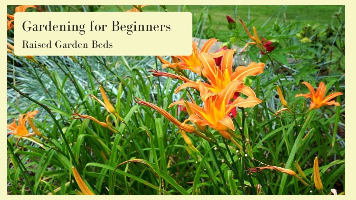 Gardening For Beginners - Raised Garden Beds