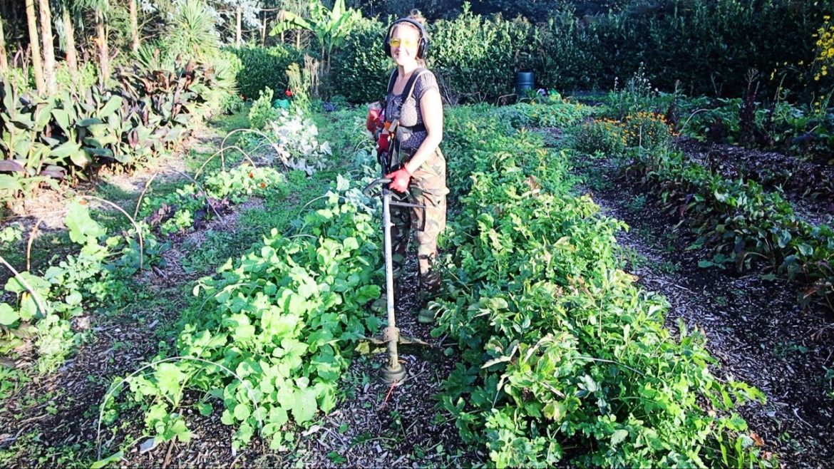 The Gardening Got The Better Of Us !!! Growing Beds Update & Winter Veg Tour