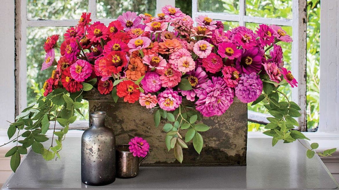 Avoid These Spring Container Gardening Mishaps | Southern Living Avoid These Spring Container Gardening Mishaps | Southern Living