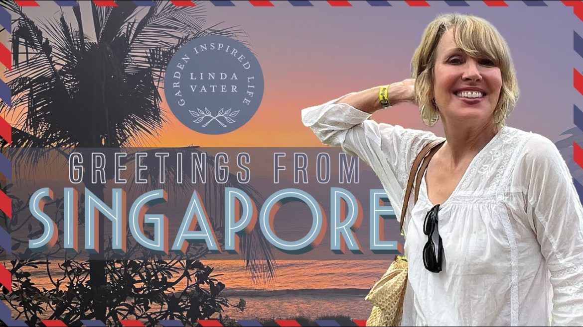 Our Singapore Dream Trip