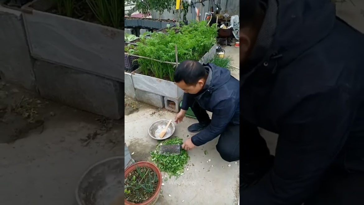 Beautiful Nature with Rural Life #shorts #naturalife #rurallife