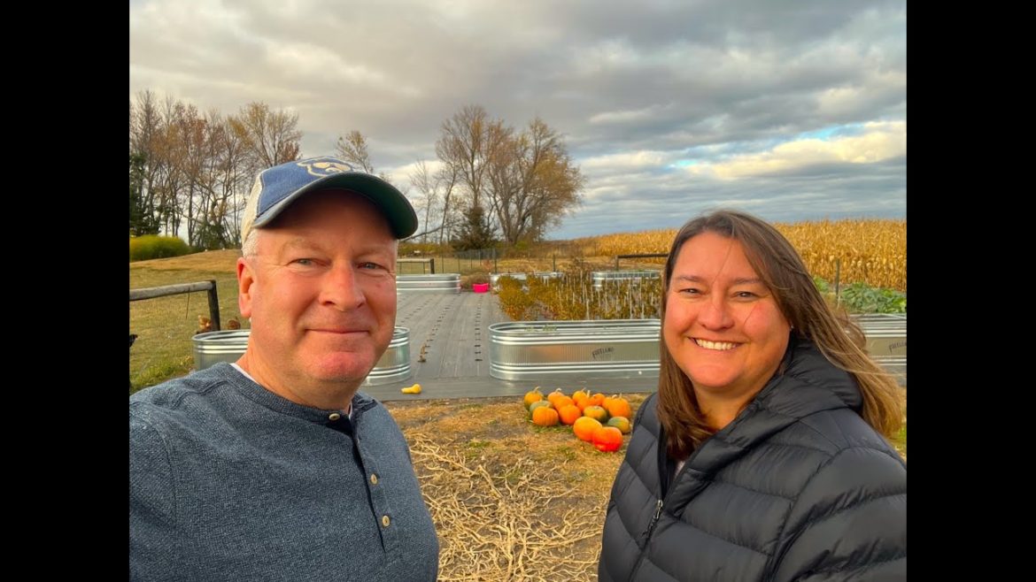 2022 Vegetable Garden Results, Lessons Learned & Plans For Next Year