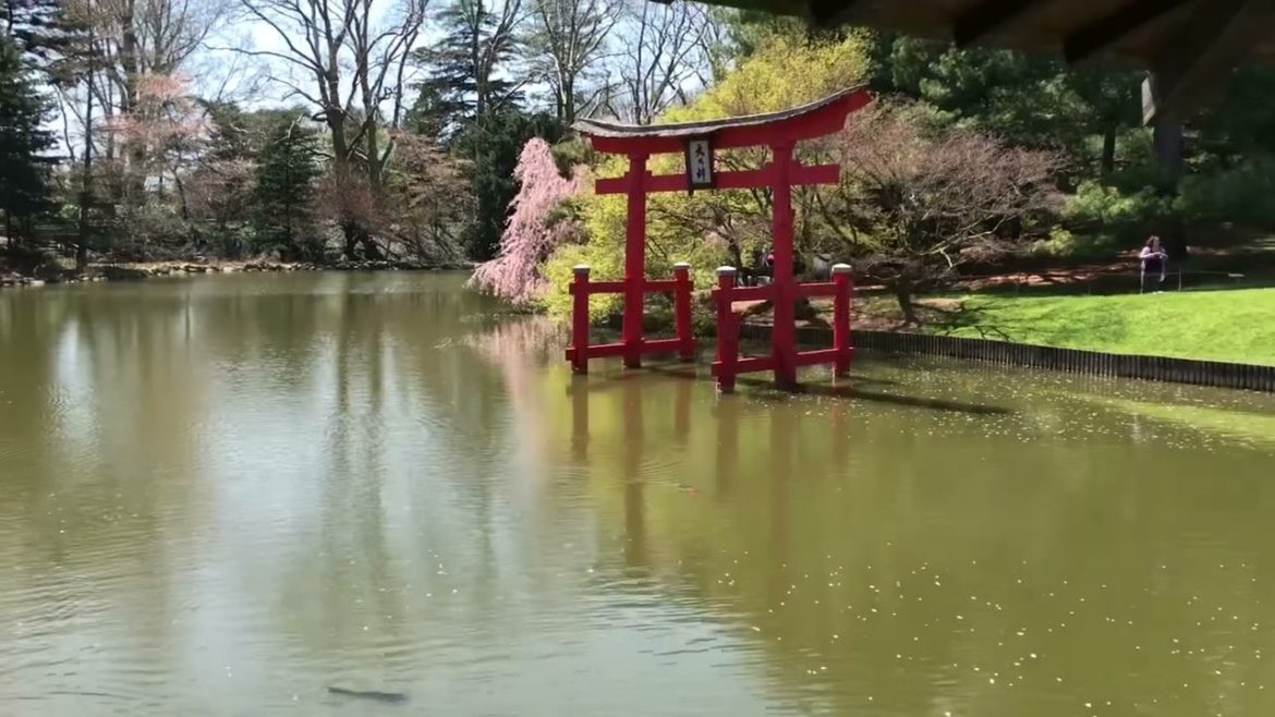 Japanese Garden at Brooklyn Botanical Garden NYC Japanese Garden at Brooklyn Botanical Garden NYC