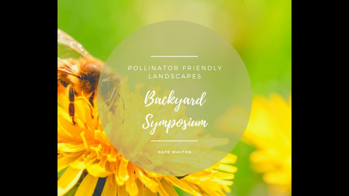 Pollinator Friendly Landscapes – Nathan Walton – 2021 Backyard Symposium Session 3 Pollinator Friendly Landscapes - Nathan Walton - 2021 Backyard Symposium Session 3