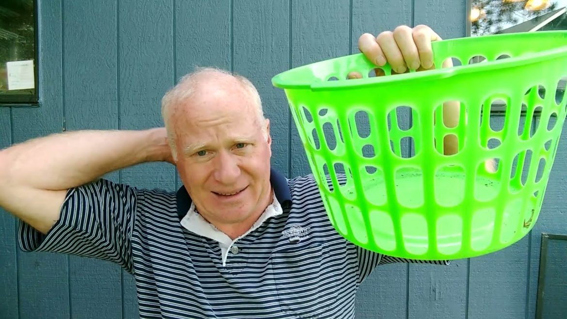 10 Dollar Tree items for your garden