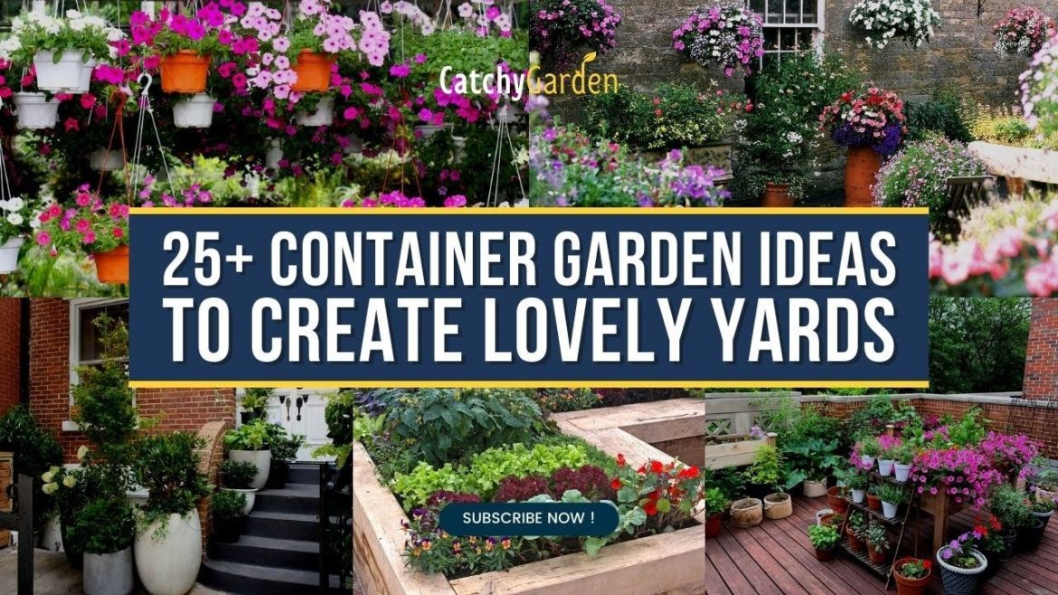 25+ Container Garden Ideas to Create Lovely Yards 🌹🌺
