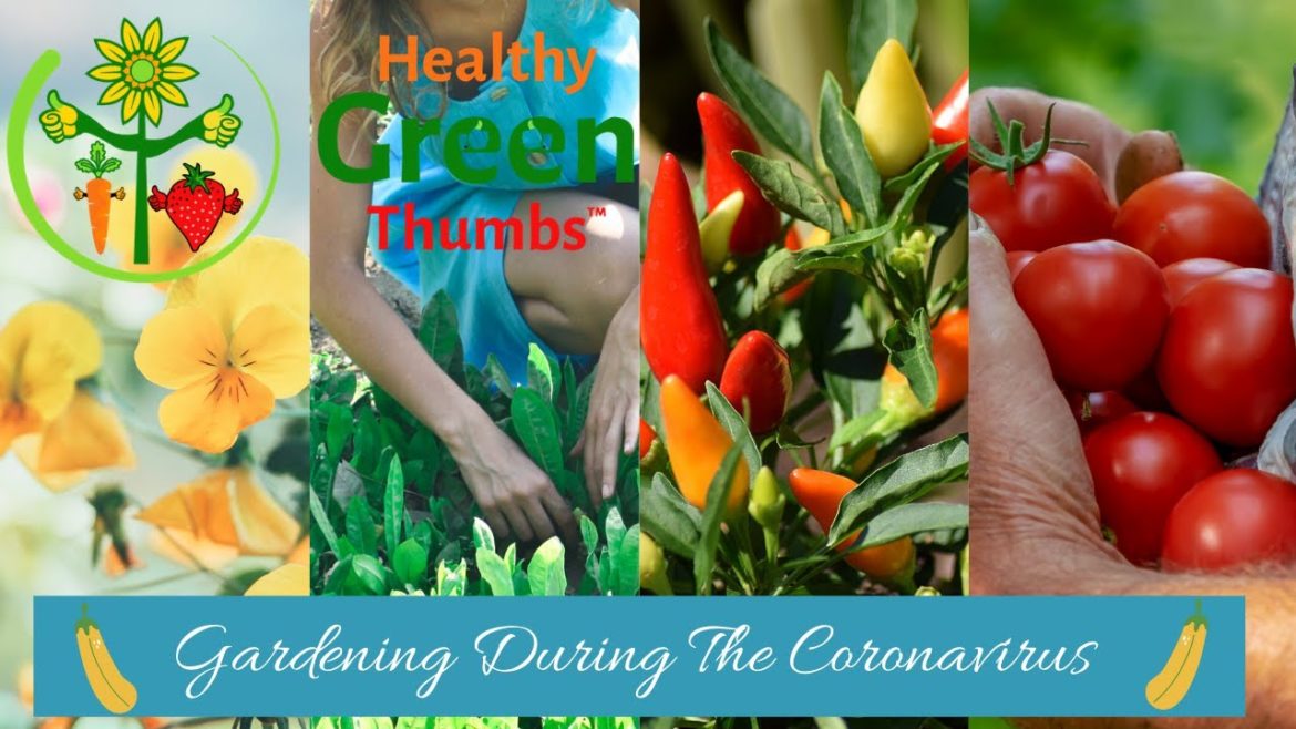 Gardening During The Coronavirus