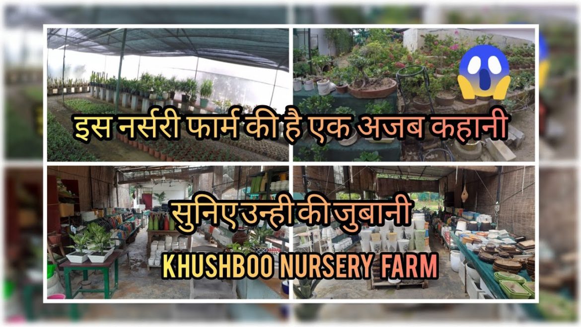 Buy Quality Indoor and Outdoor Plants at One Place - All Gardening Related Products Under One Roof
