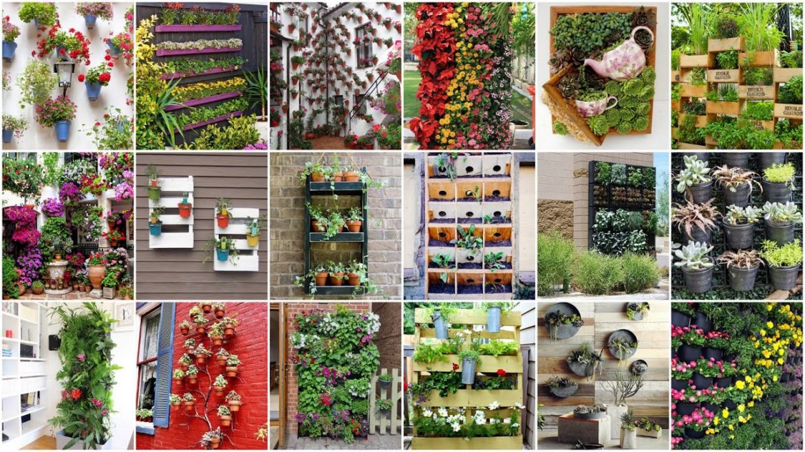 Vertical Garden Designs | Vertical Gardening Ideas | Garden Ideas | Top Designs