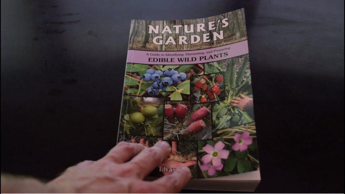 Natures Garden By Samuel Thayer - Wild Edible Plant Book Review