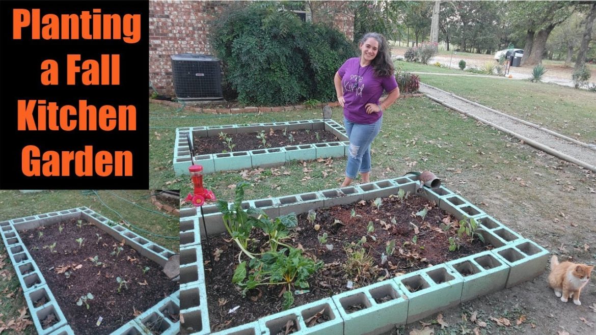 Planting Fall Vegetables in the Kitchen Garden | Raised Bed Gardening | Season 8 Ep 83 Planting Fall Vegetables in the Kitchen Garden | Raised Bed Gardening | Season 8 Ep 83