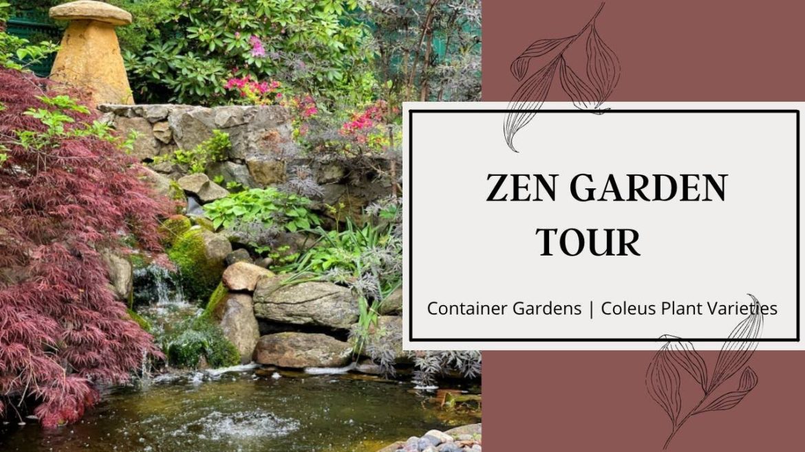 ZEN GARDEN TOUR // Coleus Varieties // Container Gardening //Bricks ’n Blooms