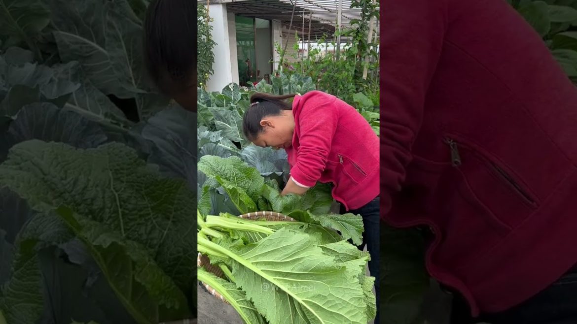 Beautiful Nature with Rural Life #shorts #naturalife #rurallife