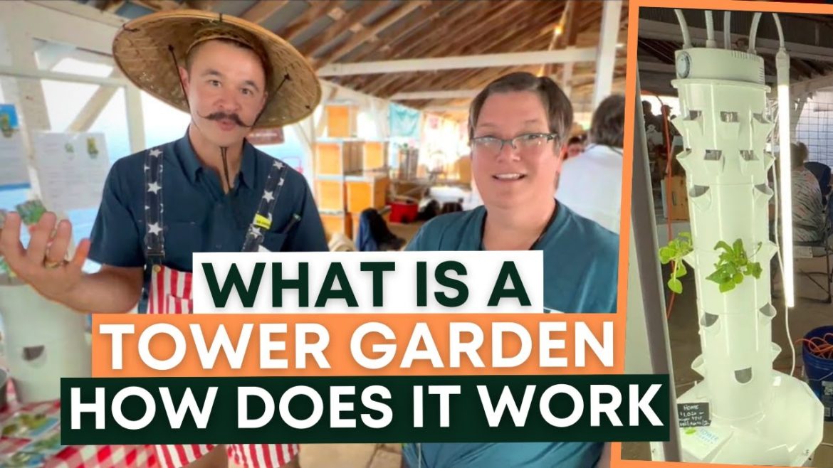 Why TOWER GARDENING SYSTEM in 2022 is a must-have and very convenient Why TOWER GARDENING SYSTEM in 2022 is a must-have and very convenient