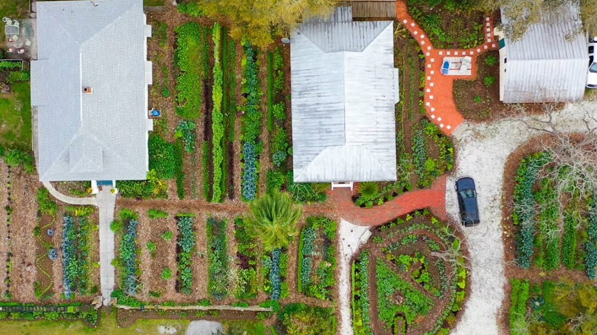 MORE ABUNDANT THAN EVER! Front-Yard Gardens Follow Up W/ Jim Kovaleski