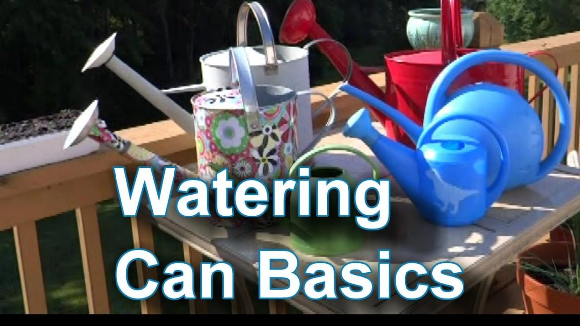 How to Choose and Use a Watering Can & Container Garden Watering