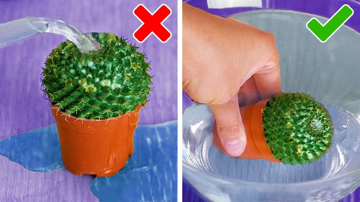 Plant Growing Hacks And Smart Gardening Tips Plant Growing Hacks And Smart Gardening Tips