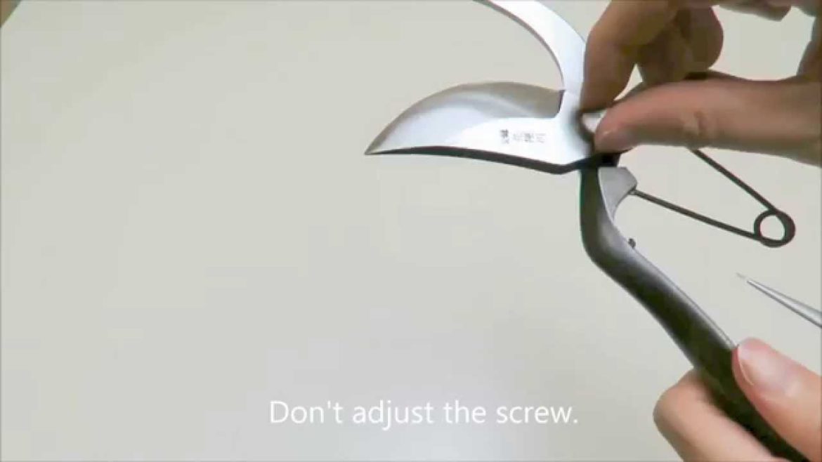 How to sharpen gardening shears Japanese tools shop 'HONMAMON' How to sharpen gardening shears Japanese tools shop 'HONMAMON'