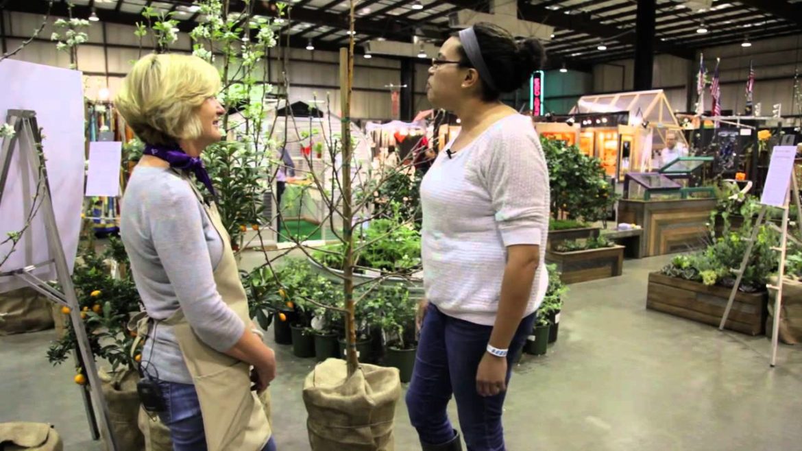 Leslie Bennett of Star Apple Edible + Fine Gardening on Apples