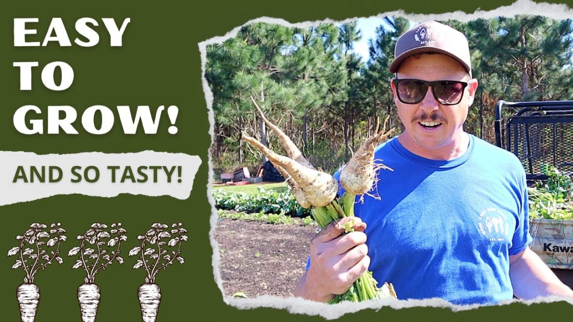 Our NEW FAVORITE Backyard Garden Veggie! Our NEW FAVORITE Backyard Garden Veggie!