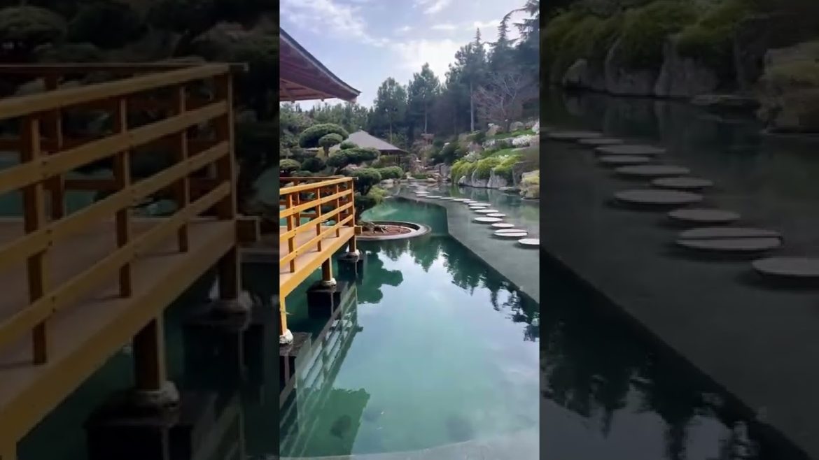 Russia 🇬🇧, Crimea, Japanese garden in Aivazovsky park