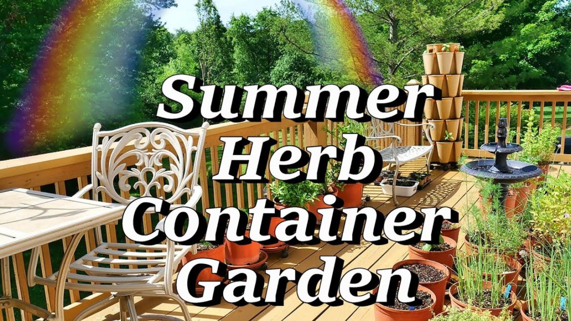 Summer Herb Container Garden, Basil Tips, Green Stalk, Cuttings, More Summer Herb Container Garden, Basil Tips, Green Stalk, Cuttings, More