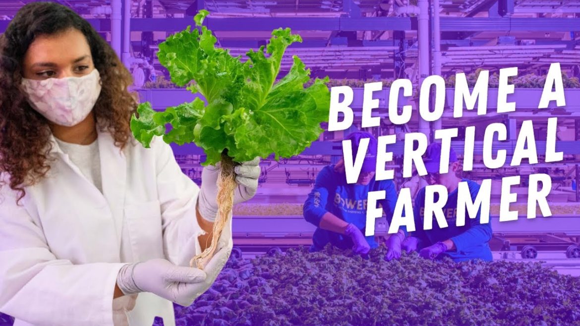 Become A Vertical Farmer In 2022 | Careers Of The Future Become A Vertical Farmer In 2022 | Careers Of The Future