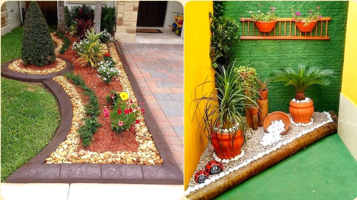 Super Cool Landscaping Ideas |Small Indoor Landscape Garden Ideas |Backyard Landscaping Garden