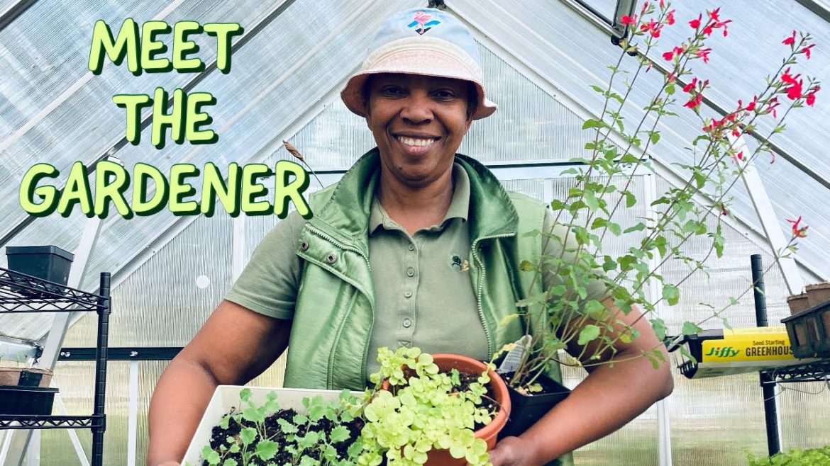 Your Friendly Neighbourhood Garden Design Expert Your Friendly Neighbourhood Garden Design Expert