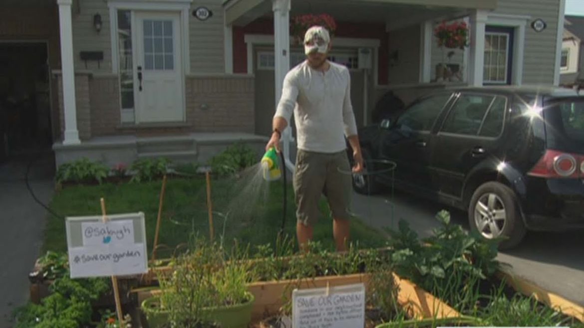 Kanata couple stares down city over front lawn garden