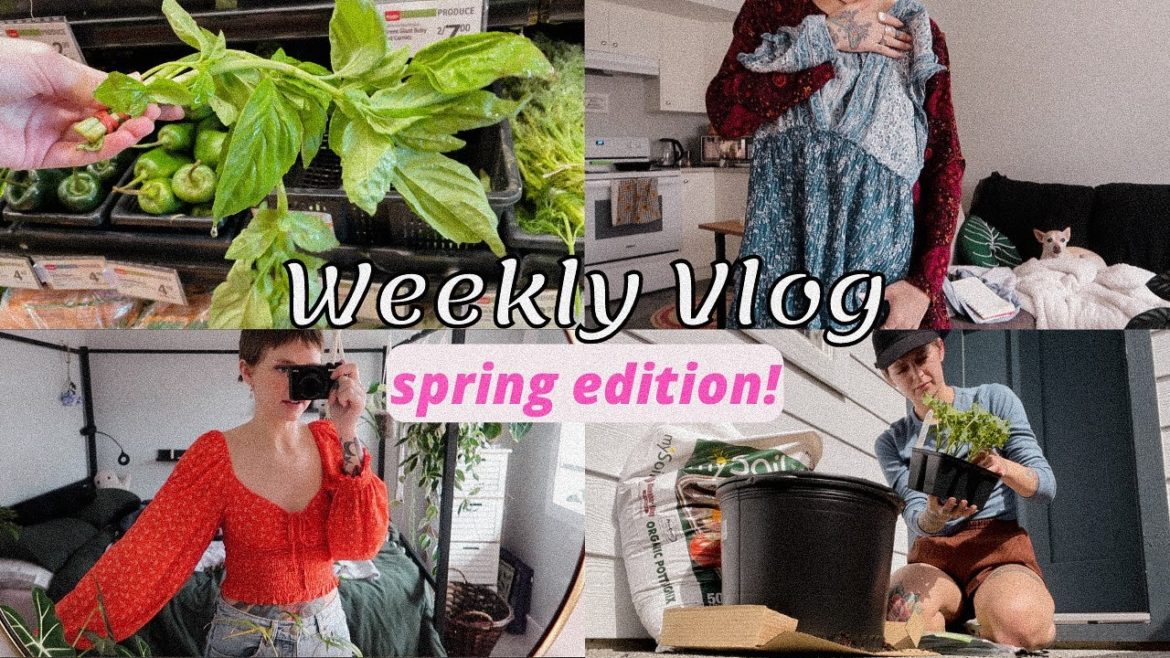 meal prep, thrift haul, & starting my first container garden! let's catch up | weekly vlog