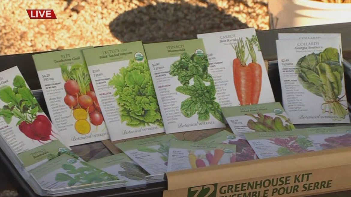 Watch: 'The Gardener Guy' Shares Tips On Fall Planting