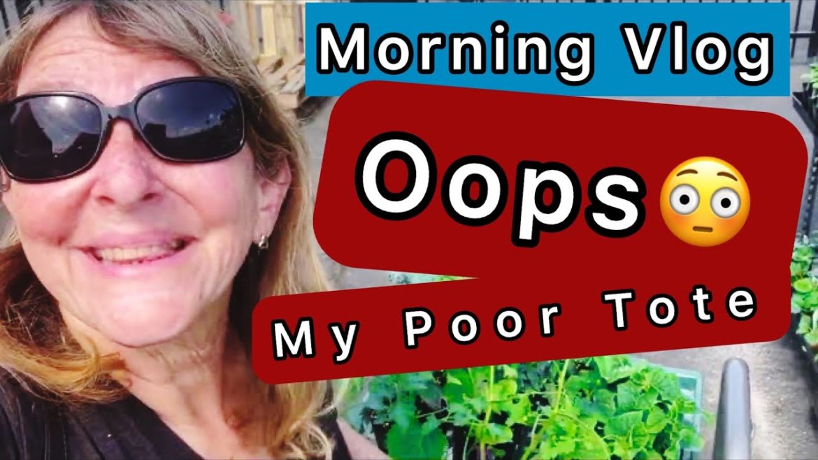 Don’t Mess up like I Did, Tote & Box Container Gardening Growing Season is Here in Vegetable Garden