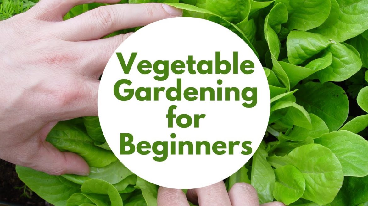 Vegetable Gardening for Beginners