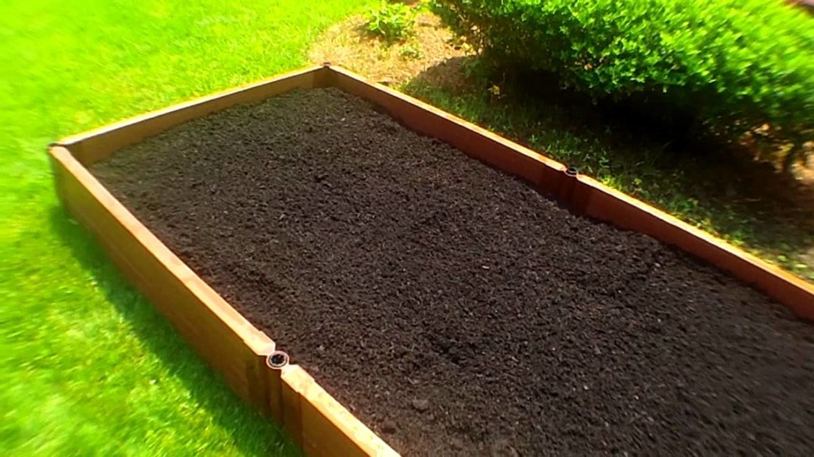 Raised Bed Organic Vegetable Gardening Planting With Deep Soil: Summer Gardens Raised Bed Organic Vegetable Gardening Planting With Deep Soil: Summer Gardens