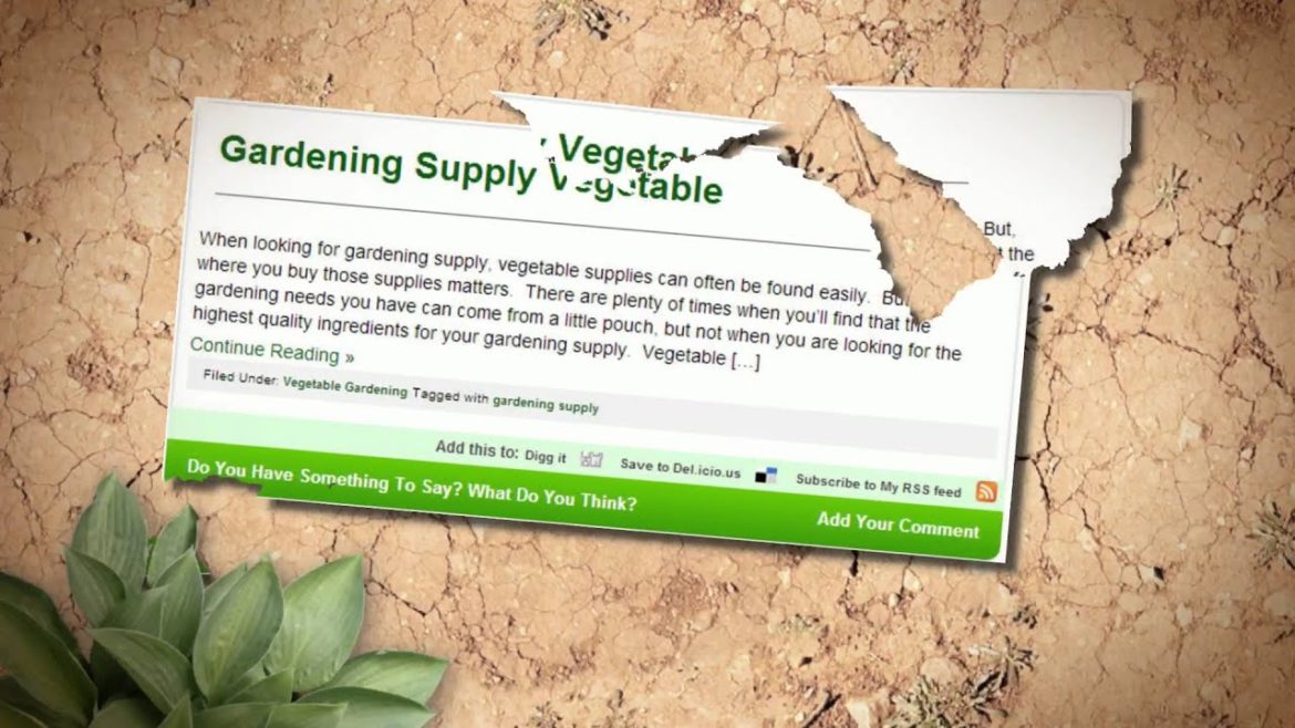 Vegetable Gardening by Home Vertex