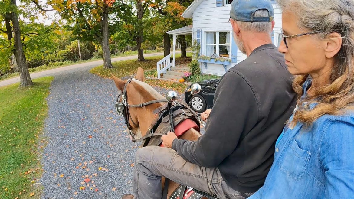 REDNECK GARDENING & RIDING DOUBLE ON DRAFT HORSES?? 😳🫣😲