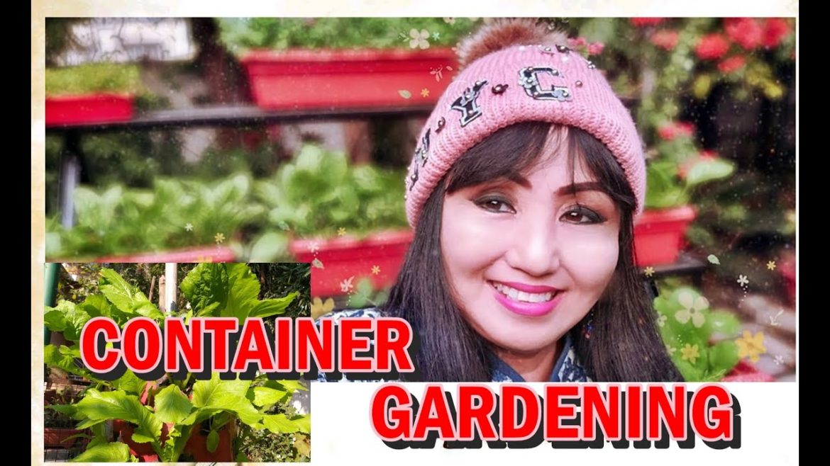 CONTAINER VEGETABLE GARDENING